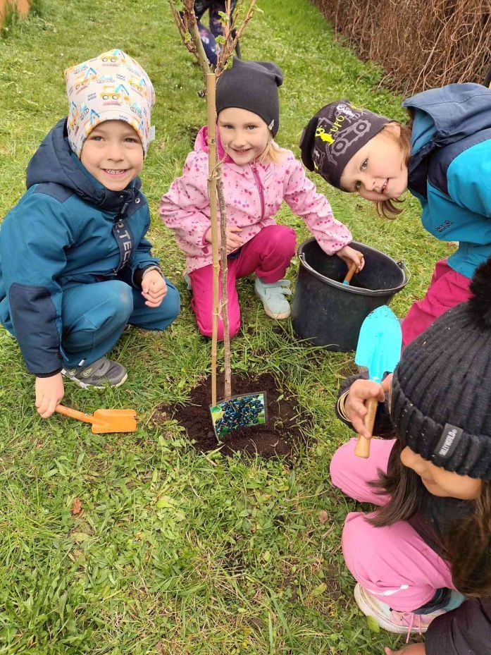 Děti z 44. mateřské školy si pěstují vlastní úrodu