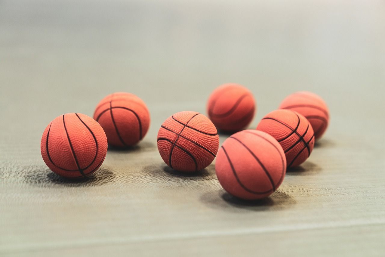 Dotace podpoří plzeňské sportovní akademie s téměř pěti tisíci sportovci