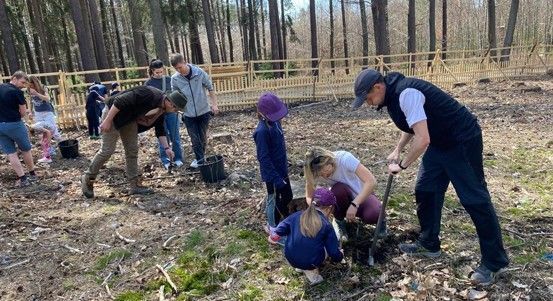 Plzeň zve na Den pro les - sázejte 4 000 stromků na Zábělé