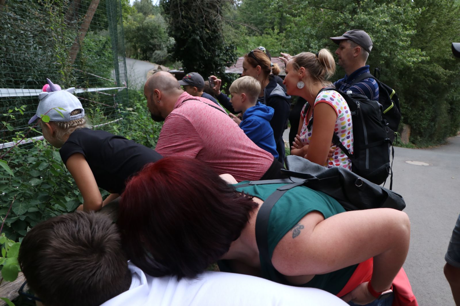 Zažijte magii plzeňské zoo za soumraku! Rezervujte si místo raději hned