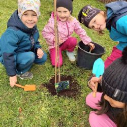 Děti z 44. mateřské školy si pěstují vlastní úrodu