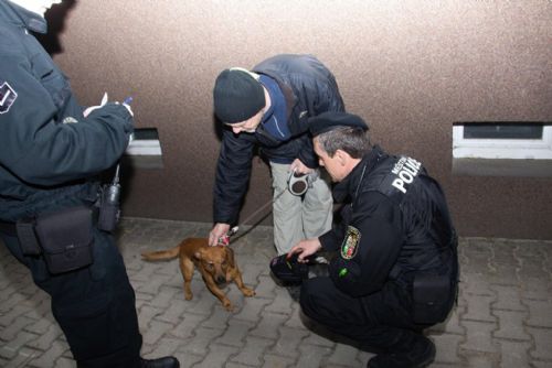 Foto: Plzeňský centrální obvod kontroluje majitele psů
