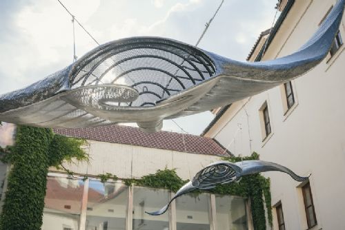 Foto: Festival Sculpture Line promění od středy Plzeň v živou galerii