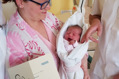 Foto: Mulačova nemocnice přivítala 600. narozené miminko