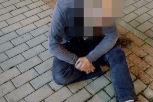 Foto: Muž v Plzni skřípal zuby a bil hlavou o chodník