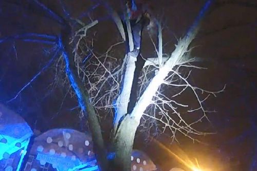 Foto: Na Chodském náměstí vylezl na strom, bál se prý povodní 