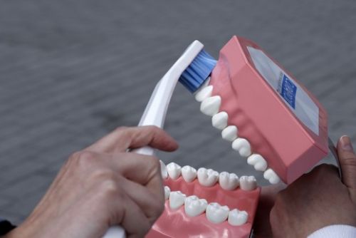 Foto: Náměstí Republiky v úterý ovládne akce Ve zdravé Plzni zdravý zub