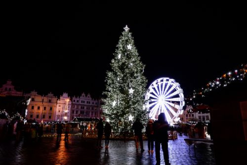 Foto: Plzeň hledá vánoční strom. Pomůže s odstraněním, zajistí dopravu
