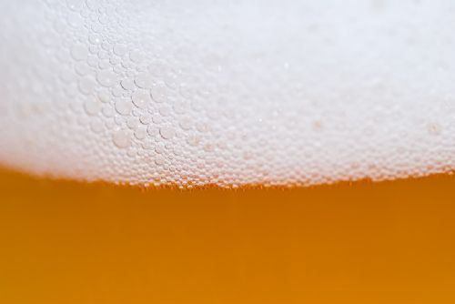 Foto: Plzeň si vyzkouší umělou inteligenci všemi smysly, třeba při čepování piva