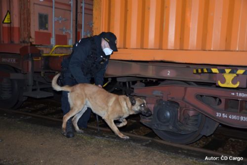 Foto: Policisté při ojedinělé akci kontrolovali ve Vejprnicích nákladní vlak
