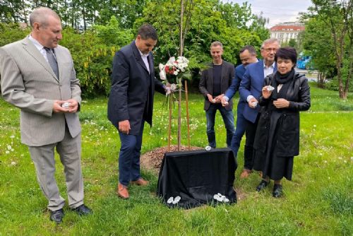 Foto: Profesora Viktoru připomíná strom a pamětní kámen