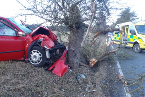 Foto: Řidič u Čemin při nehodě zlomil strom