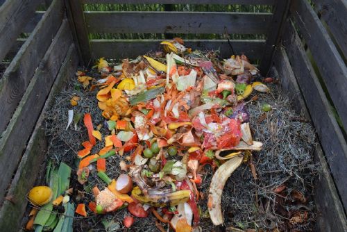 Foto: Rokycanští už mohou vyplňovat dotazníky kvůli kompostérům