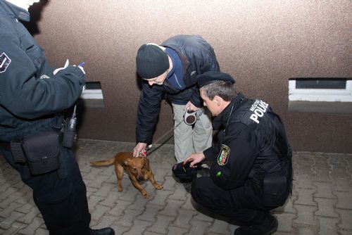 Foto: Starosta plzeňské trojky se strážníky kontroloval majitele psů