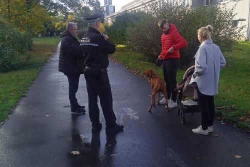 Foto: Městská policie kontrolovala pejskaře na Slovanech