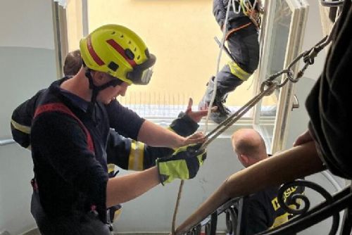 Foto: Strážníci v Plzni zachraňovali uvízlou poštolku