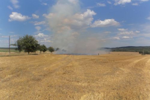 Foto: U Vranova hořelo pole
