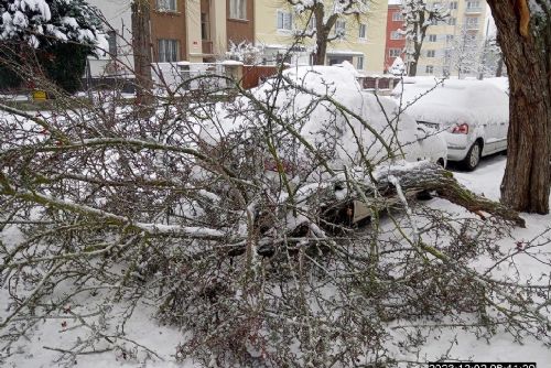 Foto: Ulomená větev stromu dopadla na Slovanech za zaparkované auto 