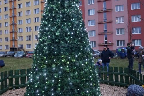 Foto: V sídlišti na Borech už svítí vánoční stromeček