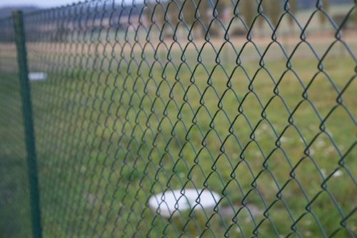 Foto: Sháníte pletivo na plot?