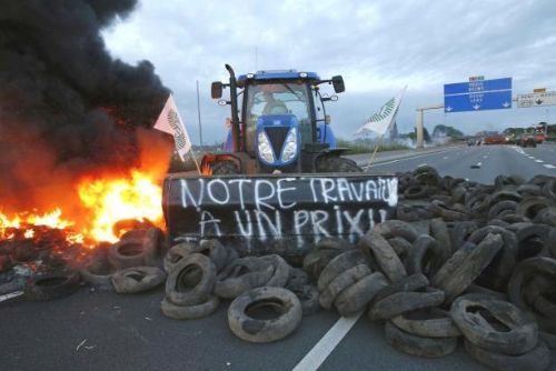 Foto: Farmáři vytáhli na protest traktory, Paříž jim ustoupila
