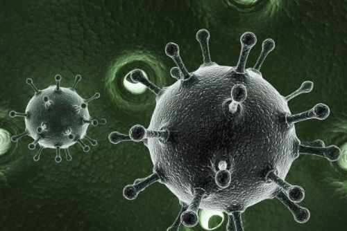 Foto: Nová léčba žloutenky typu C má viru zbavit natrvalo