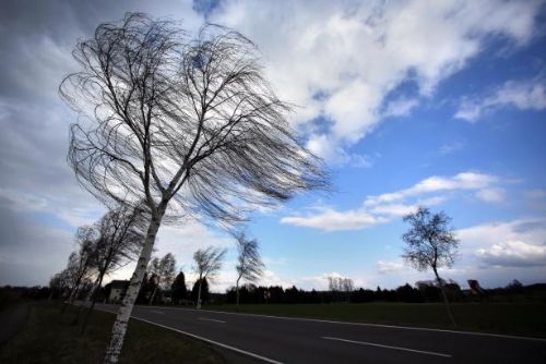 Foto: S oteplením přichází silný vítr. Na jihu Čech hrozí rozvodnění řek