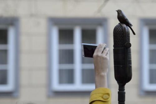 Foto: Skřivan na mikrofonu a slova od šibenice připomínají Miladu Horákovou