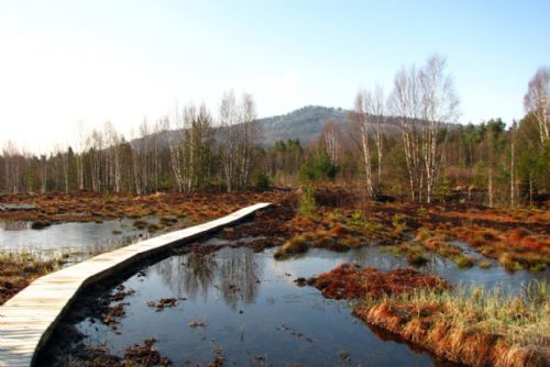 Foto: Správa NP Šumava pomalu začne s přípravou nové zonace a návrhu klidových území