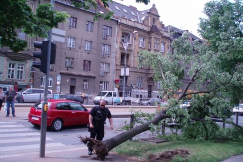 Foto: Na Klatovské třídě v Plzni komplikoval provoz padlý strom