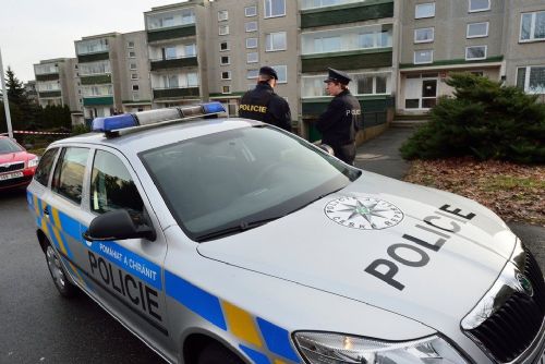 Foto: Policisté chytili před hranicemi cizince, chtěli do Německa 