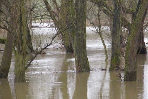 Foto: Voda v plzeňských řekách stoupla, město nabádá lidi k opatrnosti