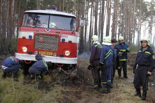 Foto: Na dělníka v lese u Liščí padl strom, muž zemřel