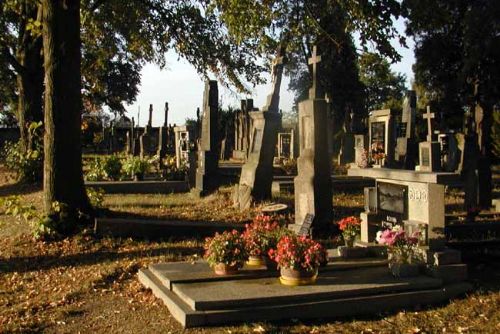 Foto: Hrob s ostatky prof. Kosa se stane čestným hrobem Plzně 