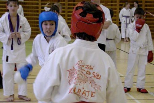 Foto: TJ Slavoj v neděli hostí krajskou ligu v karate 