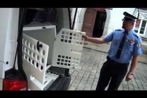 Foto: Strážníci v Plzni mají nový vůz na odchyt zvířat, službu poskytují už deset let
