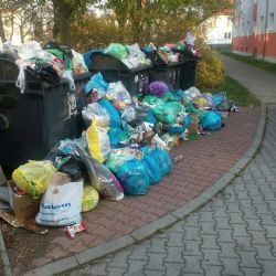 Plzeň zavádí revoluční vyhlášku - podnikatelé budou sklízet nádoby na odpad