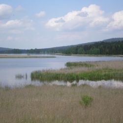 Přehrada Amerika v Brdech nejspíš nebude - chybí financování, podpora slábne