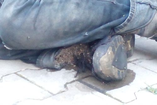 Foto: V Tachově zřejmě umrzl bezdomovec