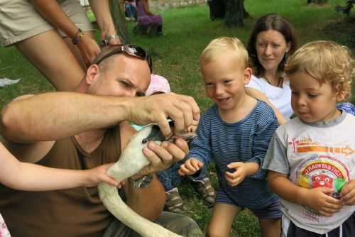 Foto: Ptáci, plazi, ryby. Pan učitel Makoň navštívil děti v prázdninové lesní školce Berounka 