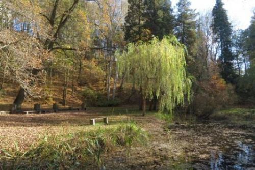 Foto: Lobezský park by se mohl dočkat obnovy 