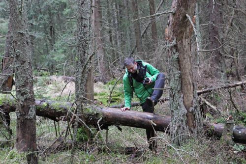Foto: NP Šumava spouští rezervace na výpravy do divočiny 