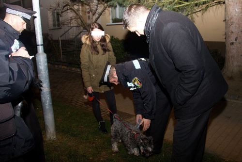 Foto:  Strážníci v centru Plzně kontrolovali pejskaře