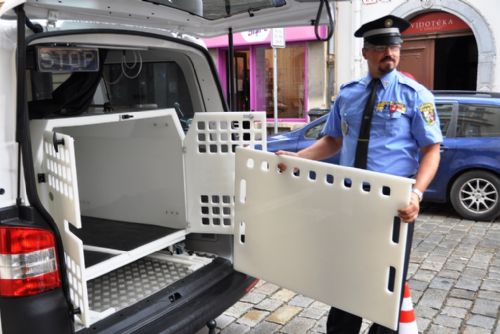Foto: Strážníci v Plzni mají nový vůz na odchyt zvířat, službu poskytují už deset let 
