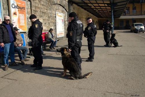 Foto: Strážníci v Plzni vyrazili na kontrolu bezdomovců