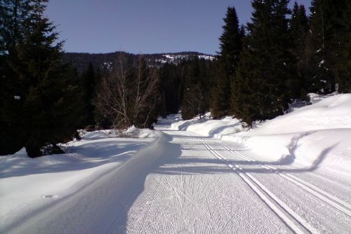 Foto: Dotace na úpravu lyžařských běžeckých tras vyhlášeny 