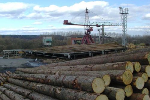 Foto: U Dobřan rozkradli dvě skládky složeného dřeva