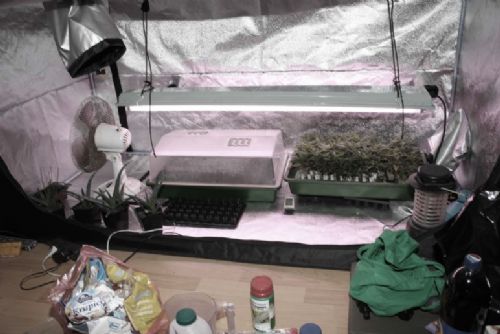 Foto: Úspěch krajských kriminalistů: Chytili dealery kokainu a odhalili pět pěstíren marihuany 
