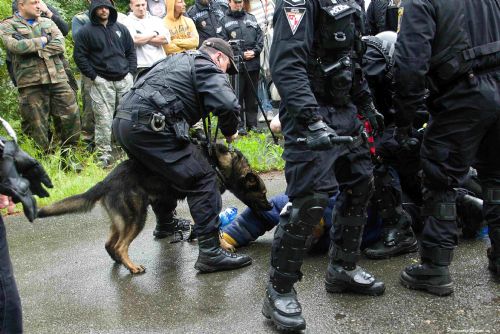 Foto: V Líních cvičili těžkooděnci Městské policie Plzeň