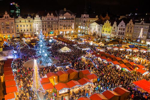 Foto: Plzeňským vánočním stromem letos bude smrk, poprvé se rozsvítí 3. prosince 